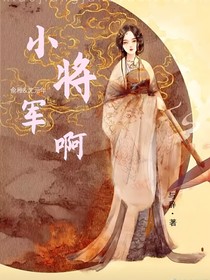 小将军啊