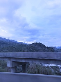 不要去看