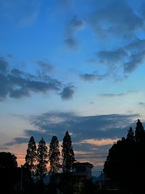 星星殊途
