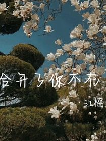 百合开了你不在——暗恋