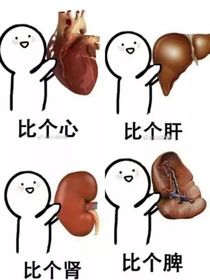 內(nèi)馬之他太可愛了叭