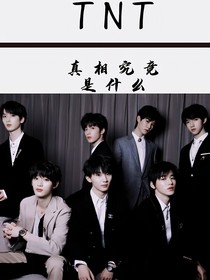 TNT：真相究竟是什么