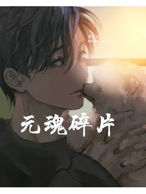元魂碎片