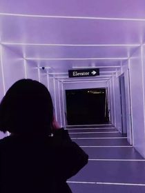 纪实文