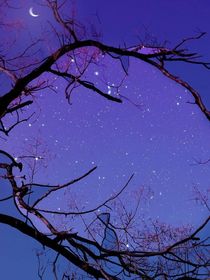 黑夜的星空
