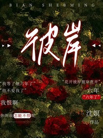 时代峰峻：彼岸