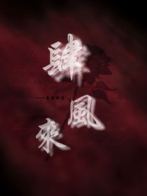 肆风来