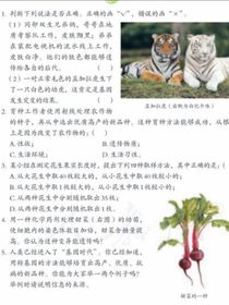 石述思睡了