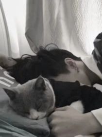 师尊和他的猫