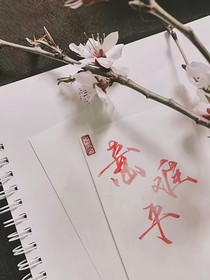 综影视之——意难平