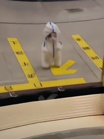 德云社：富豪姐姐看看我