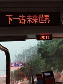 我的常青树会永远常青