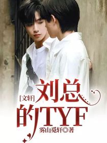 文轩：刘总的TYF