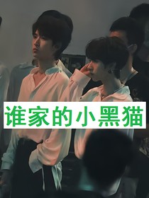翔霖：誰家的小黑貓