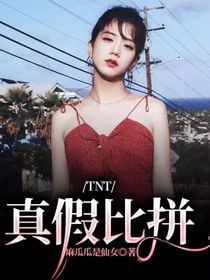 TNT：真假比拼