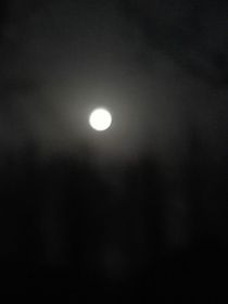 深處的夢(mèng)境