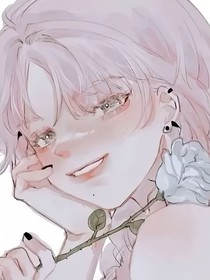 幻影忍者：你心之所屬何人