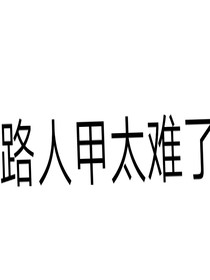 路人甲太难了