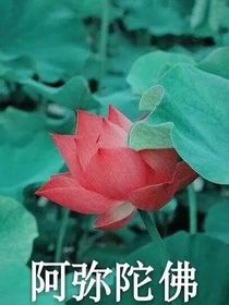 謝酒