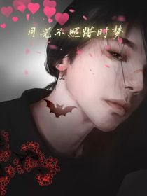 月光不照惜时梦
