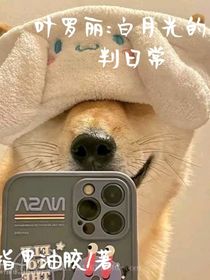 葉羅麗：白月光審判日常