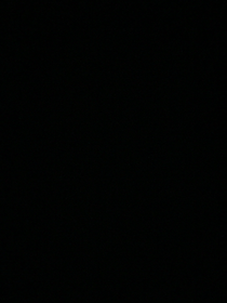 非心即悲