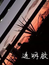 透明膠