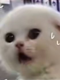 all霖：哪里不一样了