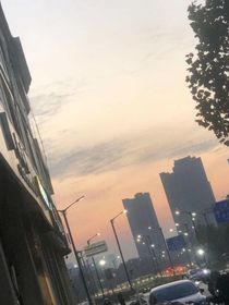 栗子盛夏
