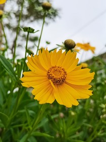 TNT一縷殘陽(yáng)