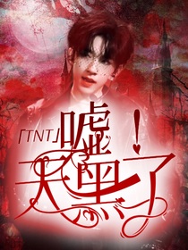 TNT：嘘！天黑了-d804