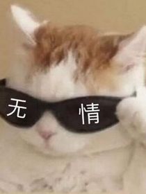 我得不到的少年
