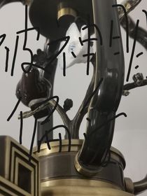 被神明偏爱
