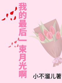 我的最后一束月光啊