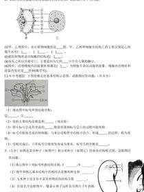 王者榮耀長安文章3