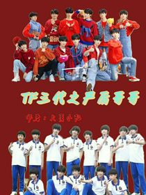 TF三代之严厉哥哥们