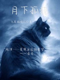 月下孤貓
