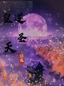 皇逆圣天