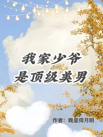 我家少爷是顶级美男