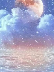 契合度百分之一百