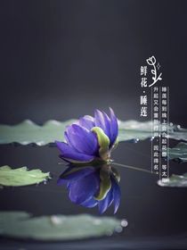领悟，抒情