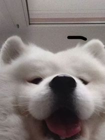 我居然穿越了？！（还要对付绿茶？）