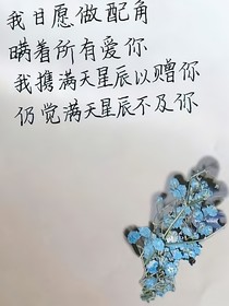 半度恋人