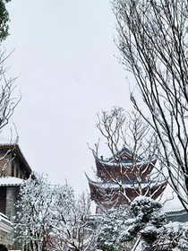 遠(yuǎn)羈誤淵