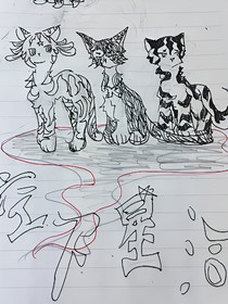 貓武士之空下星河