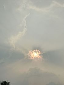 第八重