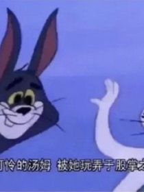 S小姐的兽