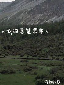 我的愿望清單