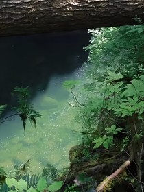 宁悸