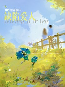 HP——缺陷愛人